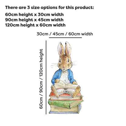 Peter Rabbit Wall Sticker - Peter Rabbit Sitting on Stack of Books Decal Wall Art