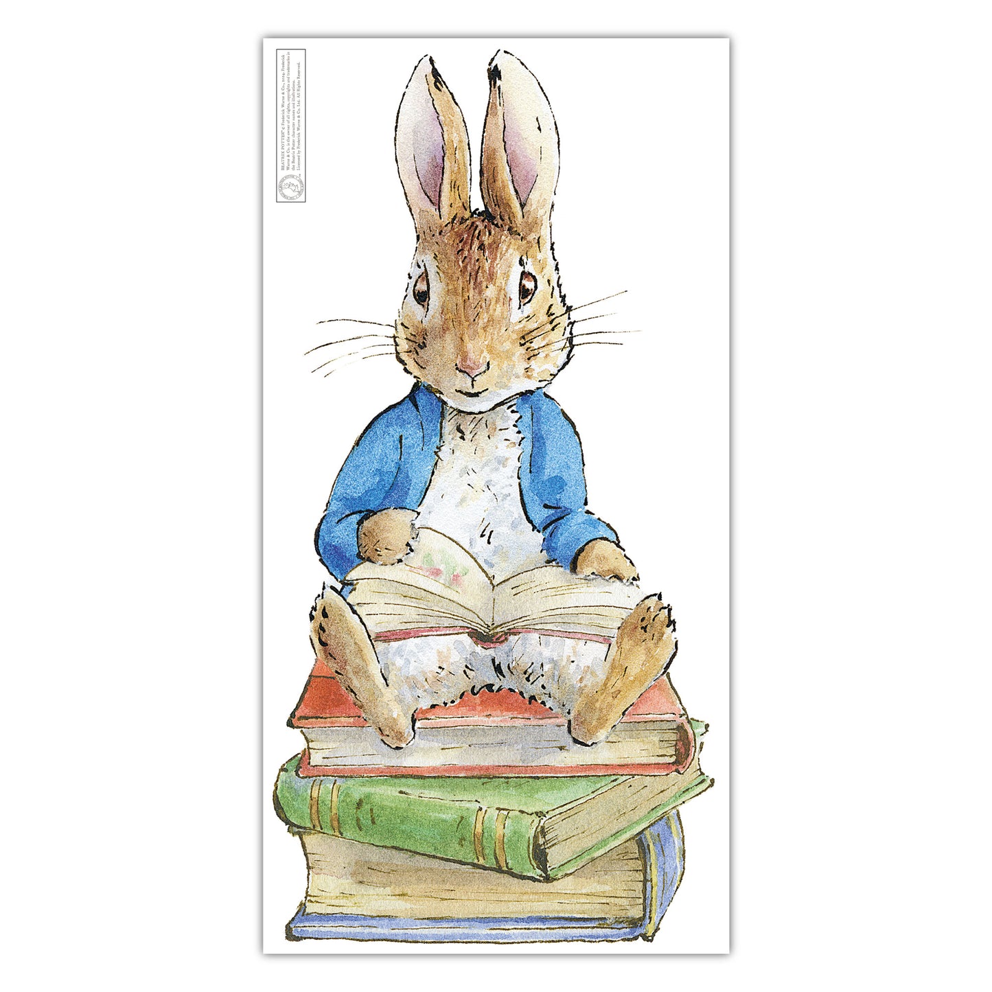 Peter Rabbit Wall Sticker - Peter Rabbit Sitting on Stack of Books Decal Wall Art