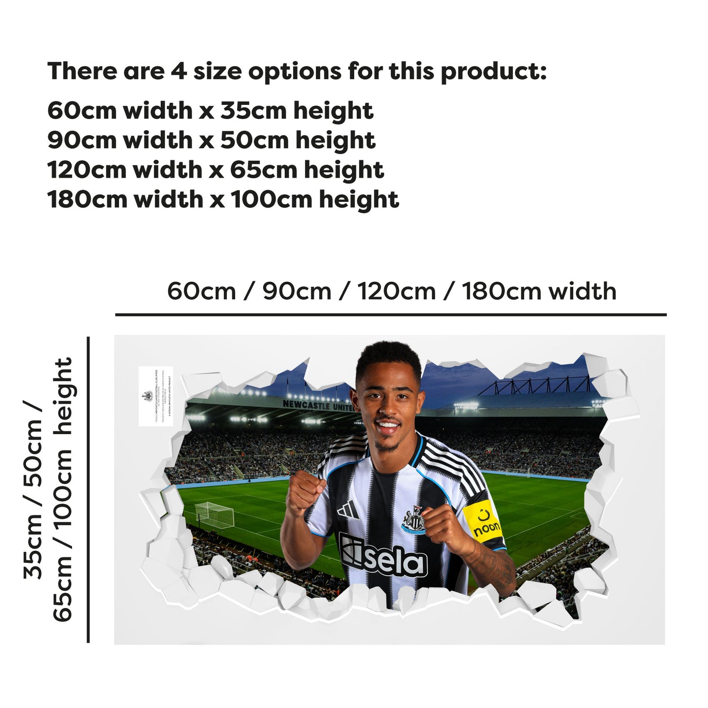 Newcastle United Football Club - Jacob Ramsey 25/26 Broken Wall Sticker