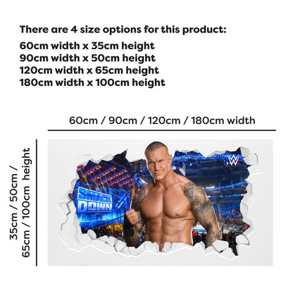 WWE Wall Sticker - Randy Orton Broken Wall