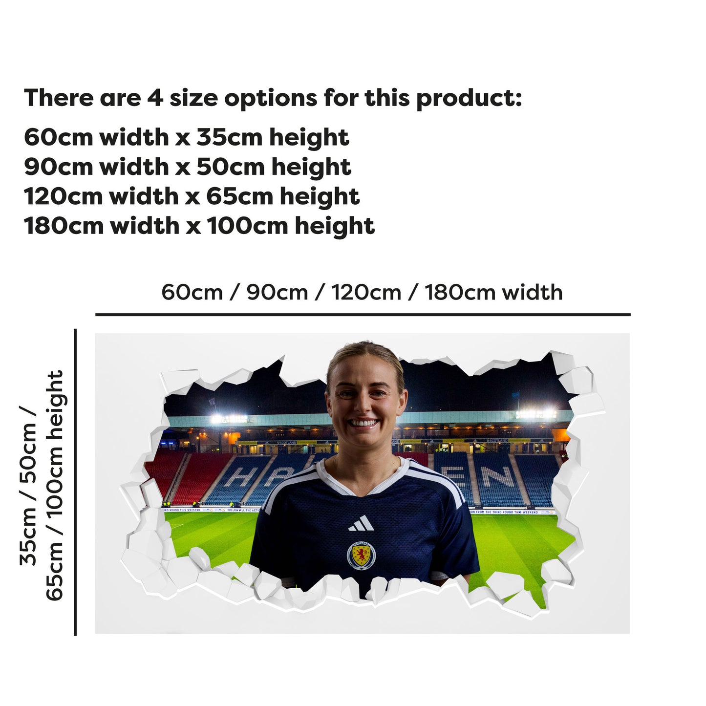 Scotland National Team -  Kirsty Smith Broken Wall Sticker Football Art