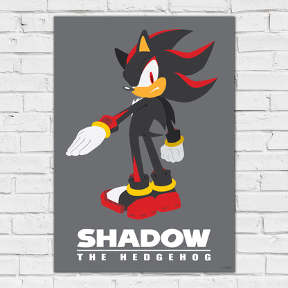 Sonic The Hedgehog Print - Shadow Colour Block Poster Wall Art