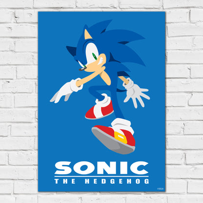 Sonic The Hedgehog Print - Sonic Colour Block Poster Wall Art