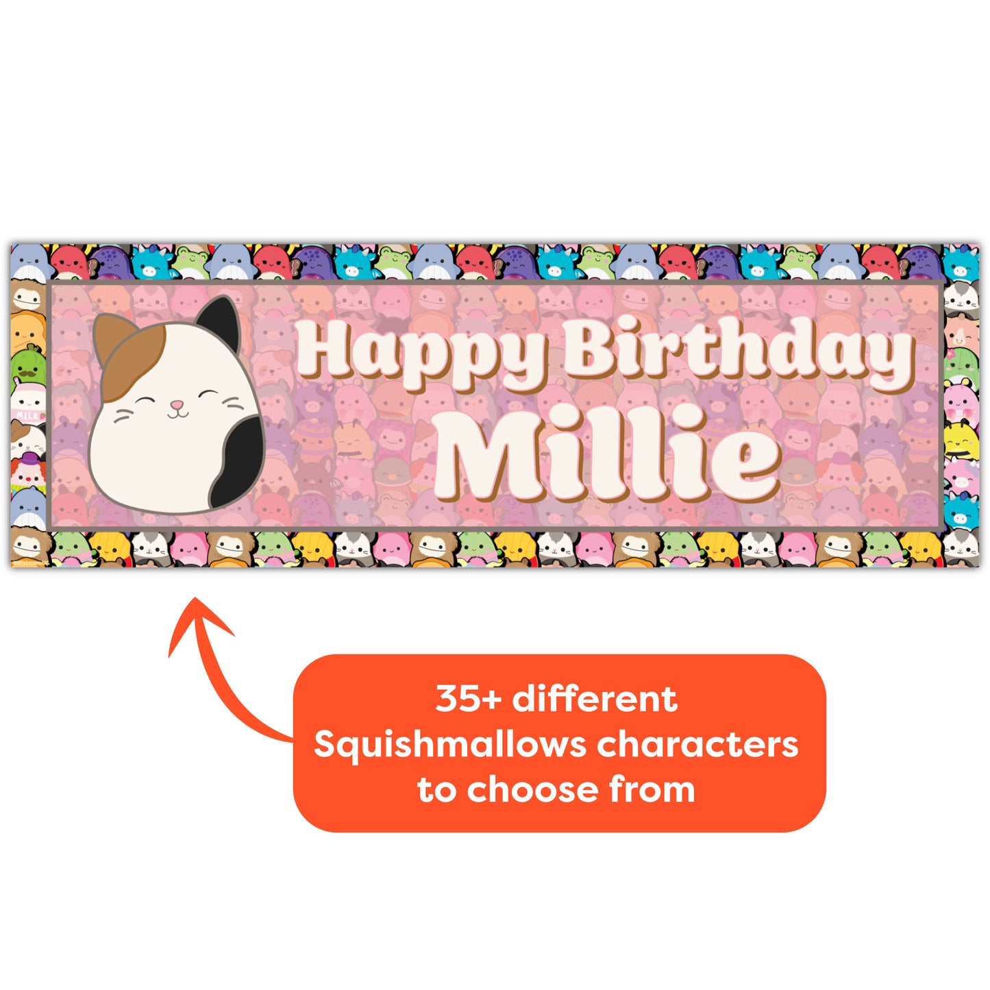 Squishmallows Birthday - Individual Character Personalised Banner Wall Sticker
