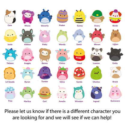 Squishmallows Birthday - Individual Character Personalised Banner Wall Sticker