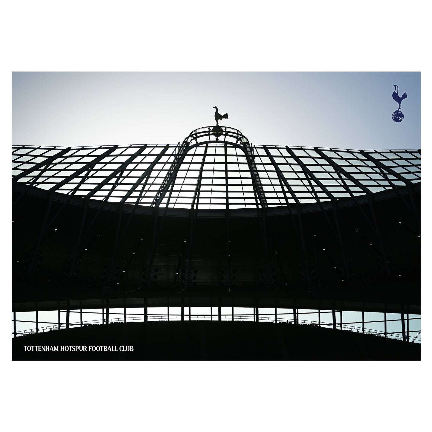 Tottenham Hotspur Print - Cockerel Stadium Poster Wall Art