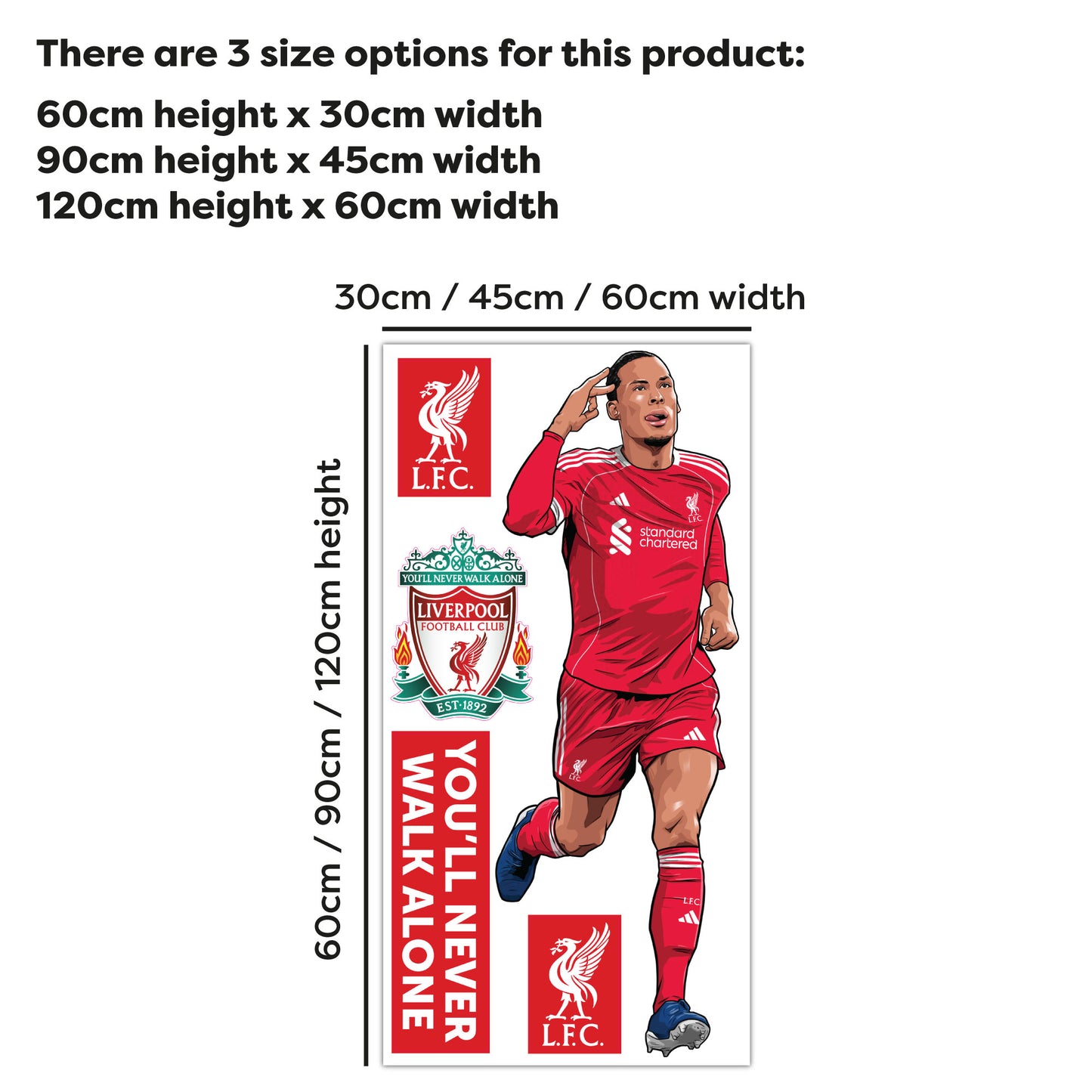 Liverpool FC Wall Sticker - Virgil Van Dijk 25/26 Illustration Wall Decal