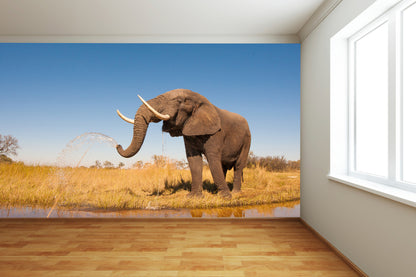 African Elephant Wall Mural