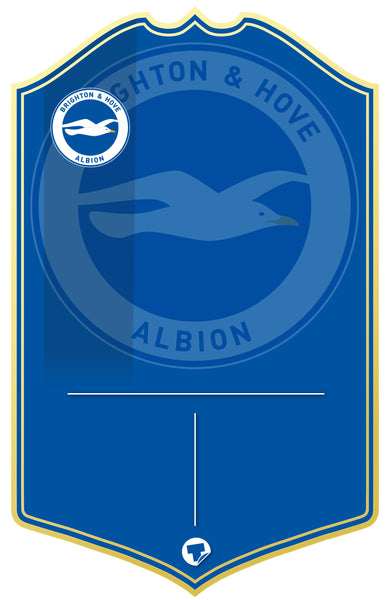 Brighton Hove Albion Personalised Stats Card
