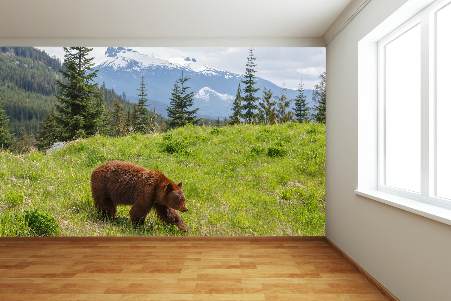 Brown Bear in Wilderness Wall Mural