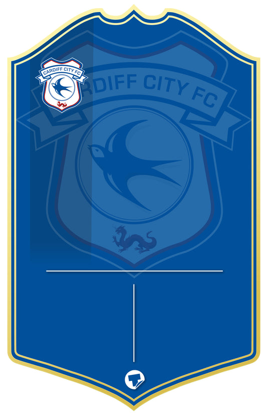 Cardiff City Personalised Stats Card