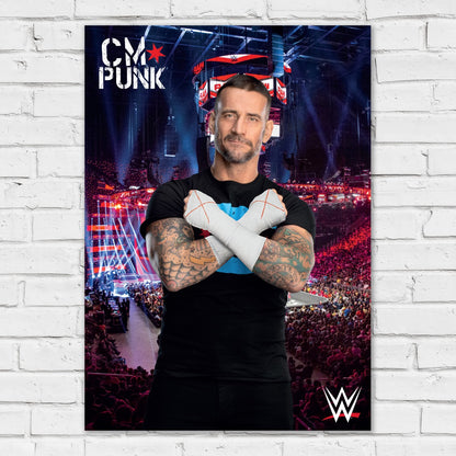 WWE Print - CM Punk Crowd Poster