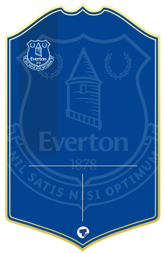 Everton Personalised Stats Card