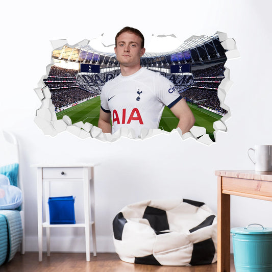 Tottenham Hotspur FC - Skipp 23-24 Broken Wall Sticker + Spurs Decals