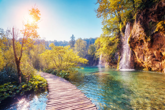 Autmn Lake Wooden Path Wall Mural