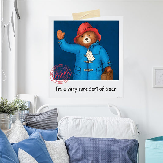 Paddington Bear Paddington Polaroid Wall Sticker