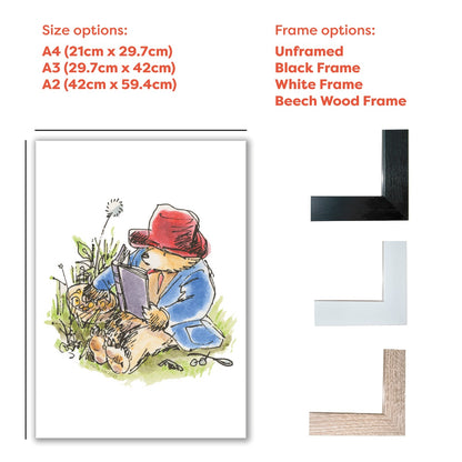 Paddington Bear Classic Print - Reading on Grass Wall Art