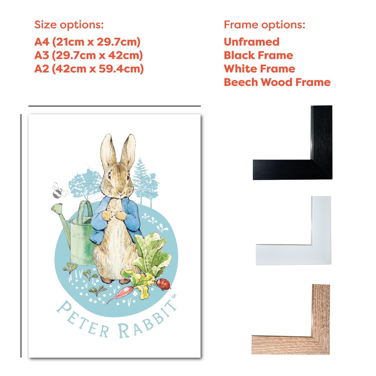Peter Rabbit Circle Frames Peter Rabbit Print - Peter Garden Circle Print – www.themed.co.uk