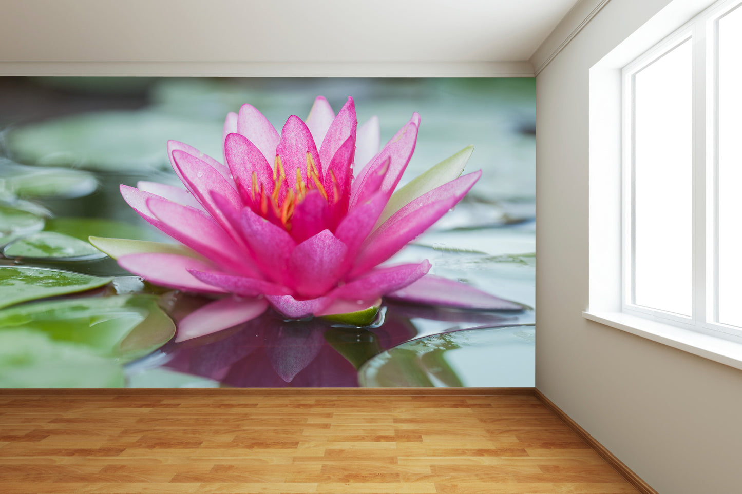 Pink Waterlily Wall Mural