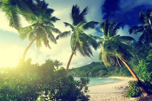 Sunshining on Beach Wall Mural