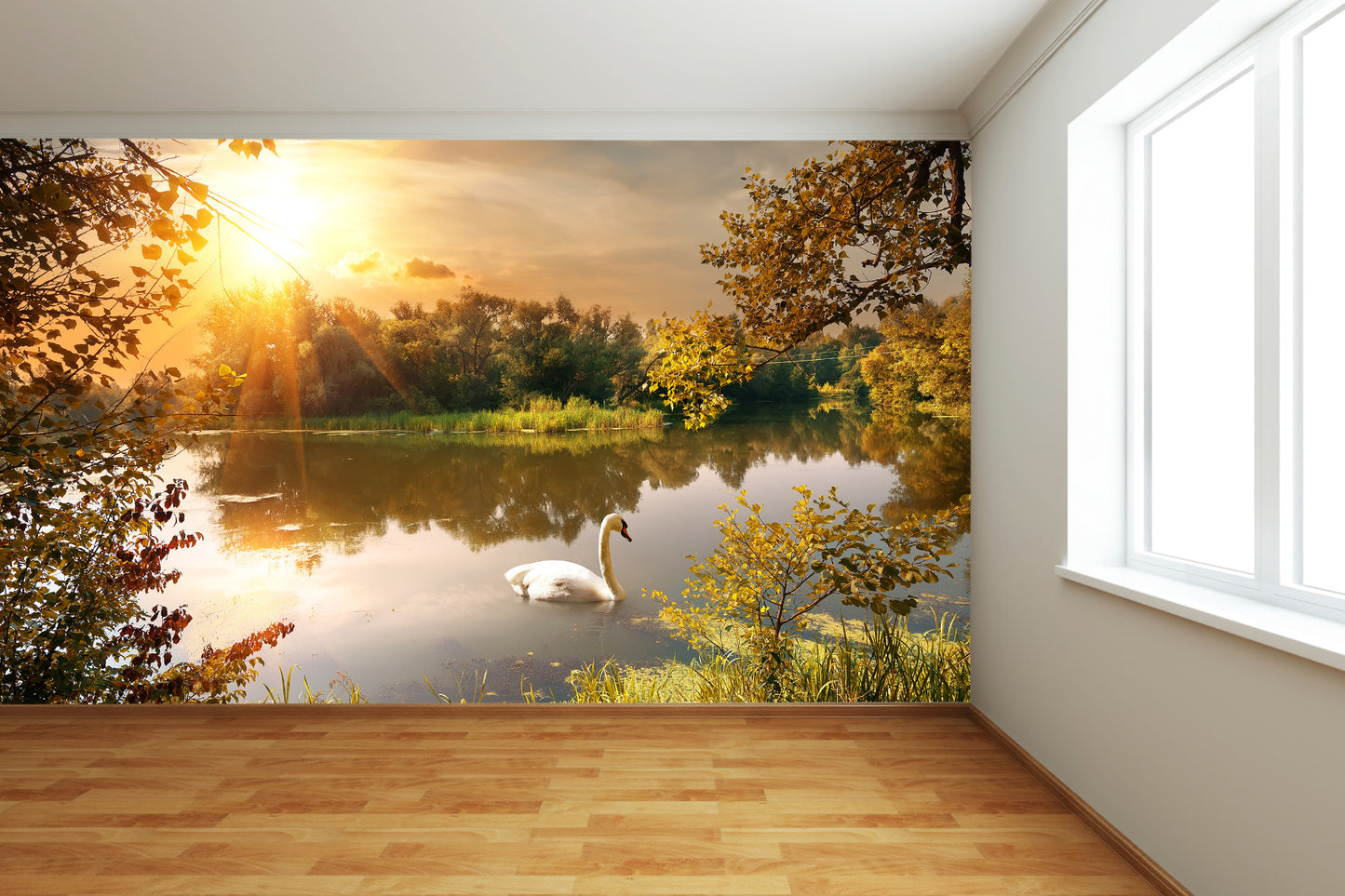 Swan in Lake Wall Mural