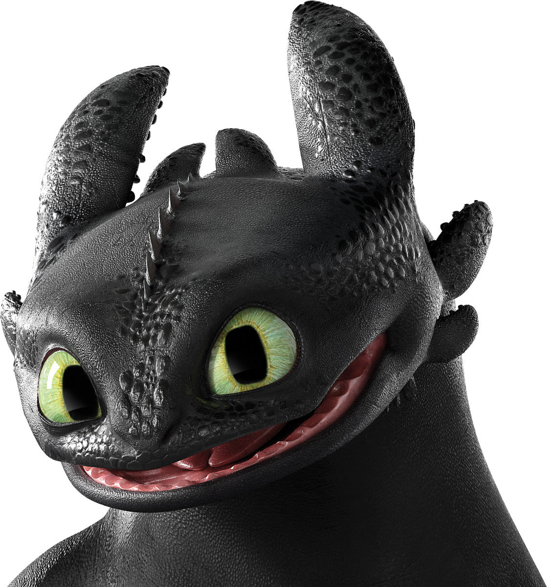 How To Train Your Dragon - Toothless Head Wall Sticker – www.themed.co.uk
