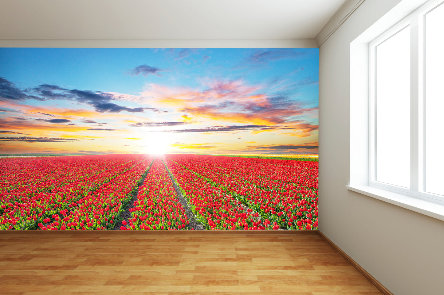 Tulip Field in Sunset Wall Mural