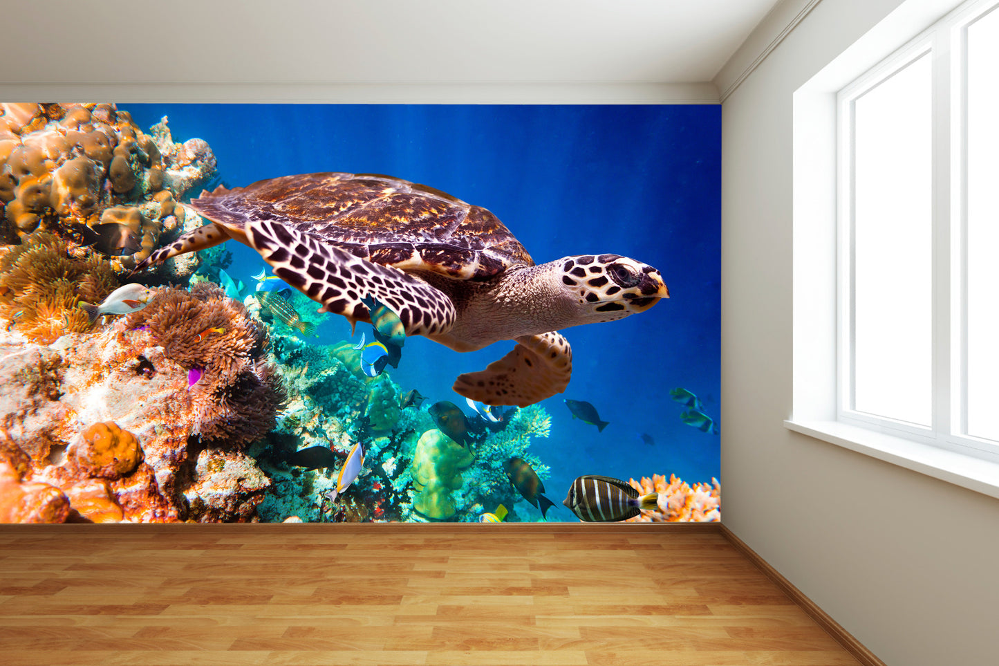 Seaturtle in Coral Reef Wall Mural