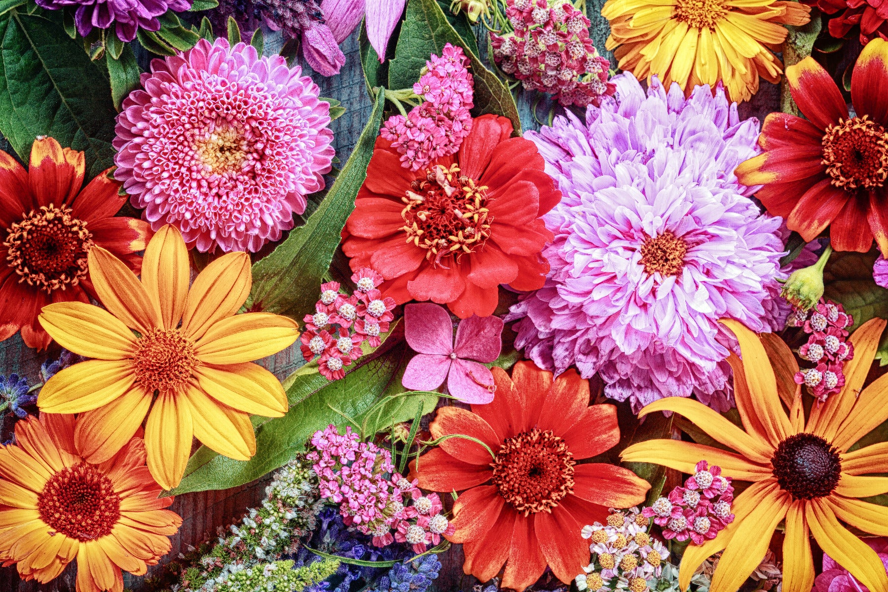 Multipe Floral Multicoloured Flower Wall Mural – www.themed.co.uk