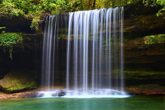 Rainforest Waterfall Wall Mural