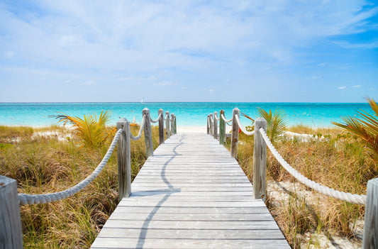 Wooden Walkway to Beach Wall Mural
